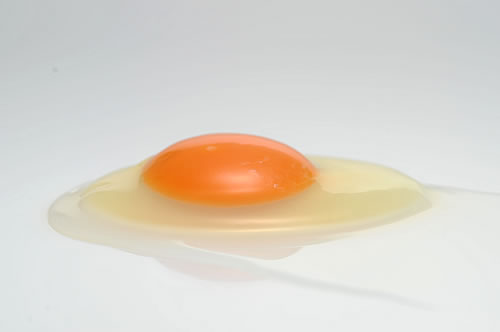 egg001