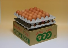 egg002