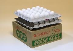 egg004